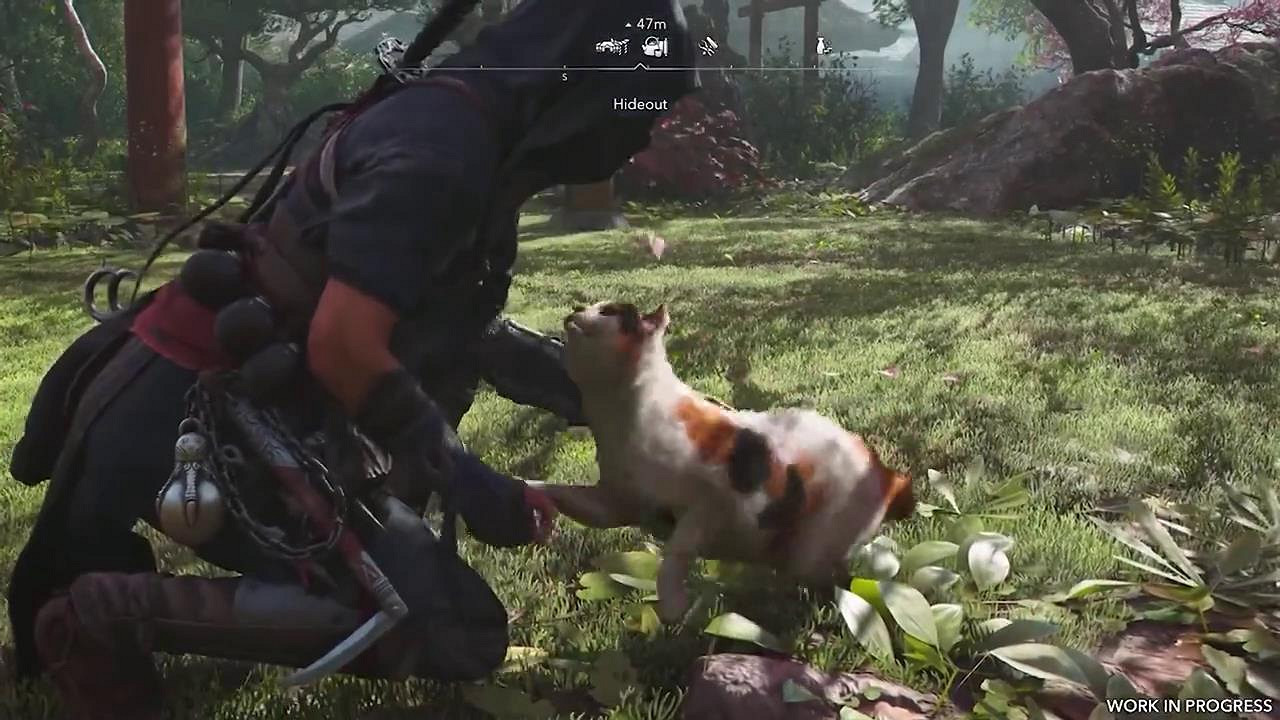 《刺客教條:影》新預告 奈緒江擼可愛貓咪畫面超有愛 《刺客教條:影》新預告 奈緒江擼可愛貓咪畫面超有愛