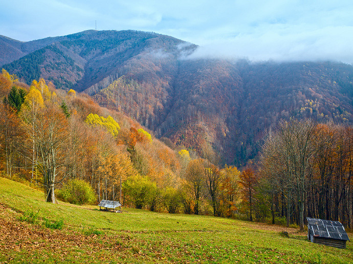 《英雄聯盟》認定就不改的網名匯總