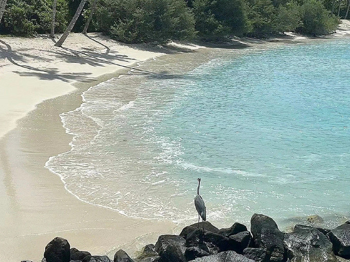 《英雄聯盟》不急不躁的網名大全