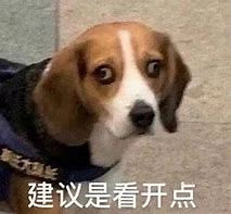 《英雄聯盟》搞笑又賤的遊戲ID大全