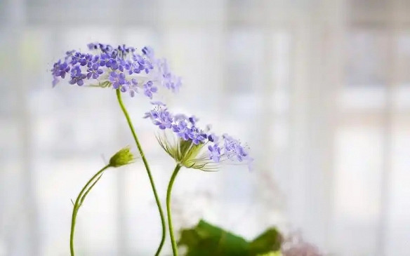 《英雄聯盟》老司機秒懂的網名大全