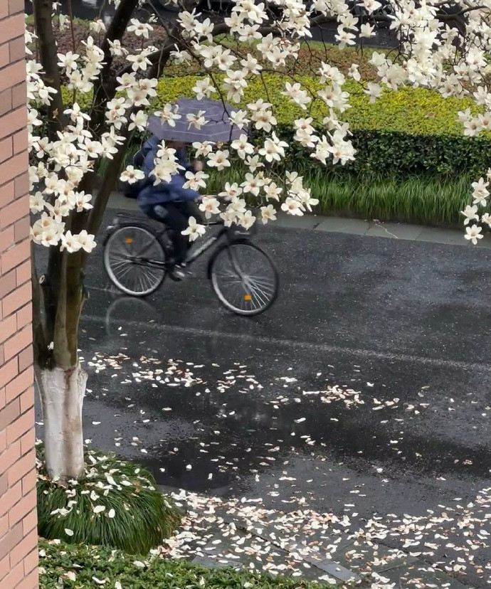 《英雄聯盟》不矯情的網名大全