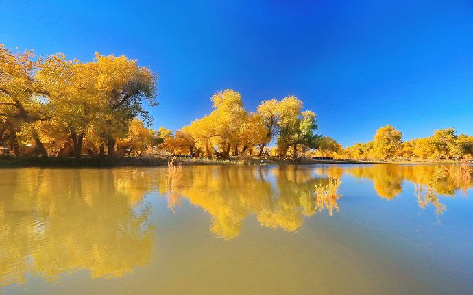 《英雄聯盟》情商高有品位的網名大全