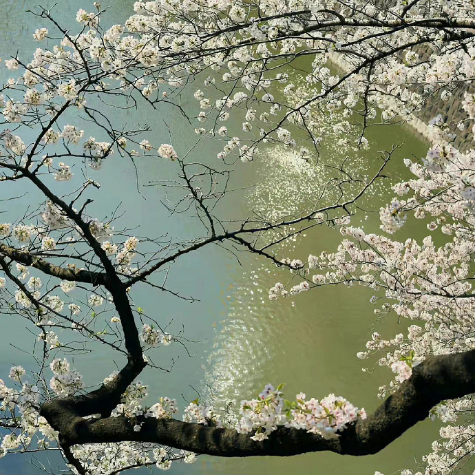 《英雄聯盟》不矯情的網名大全