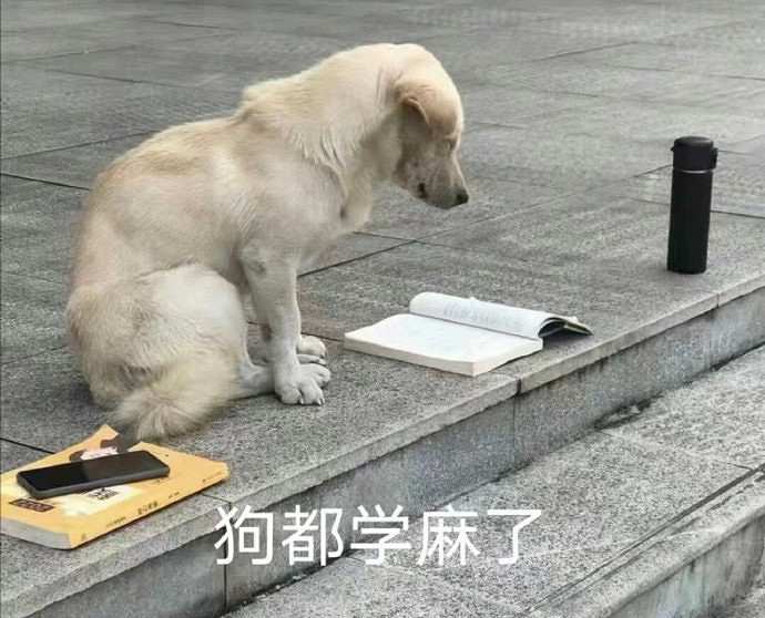 《英雄聯盟》搞笑id名字推薦大全