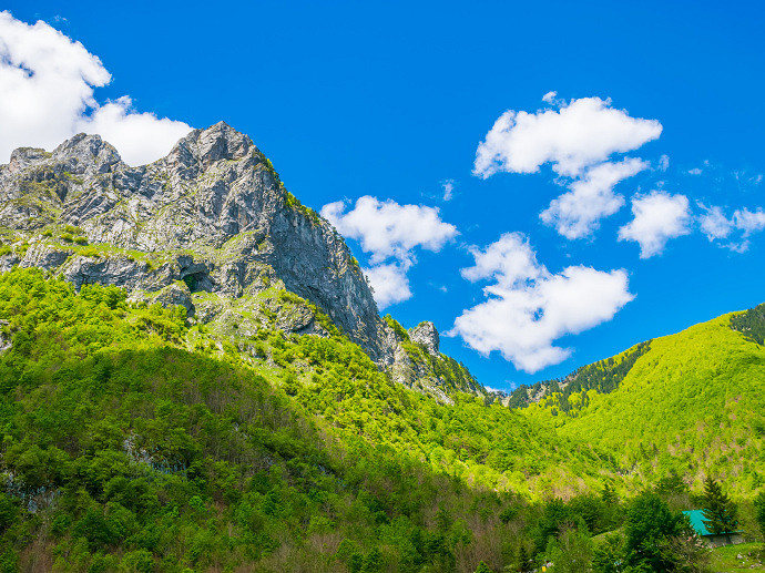 《英雄聯盟》認定就不改的網名匯總