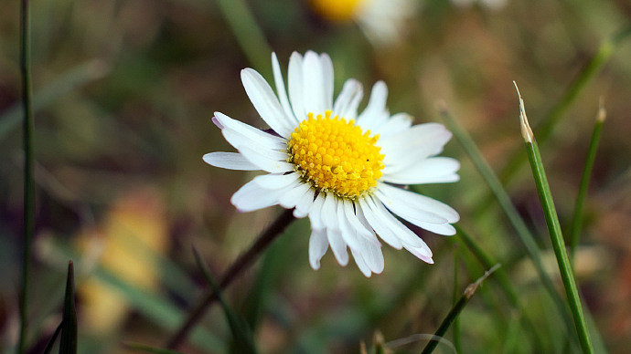 《英雄聯盟》我女朋友的媽媽雙字ID5分享