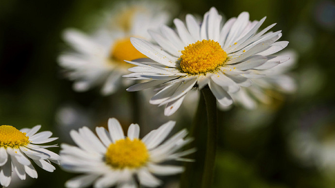 《英雄聯盟》我女朋友的媽媽雙字ID5分享