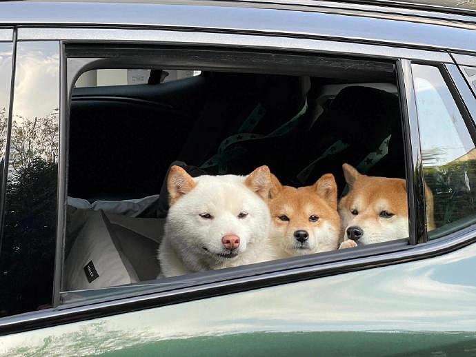 《英雄聯盟》可愛風格的女生網名大全