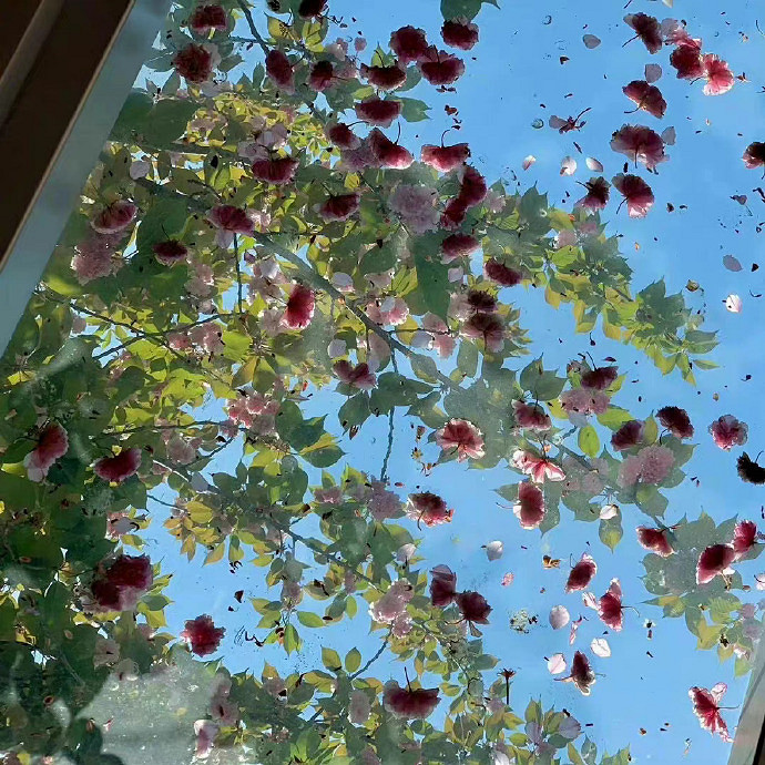 《英雄聯盟》不矯情的網名大全