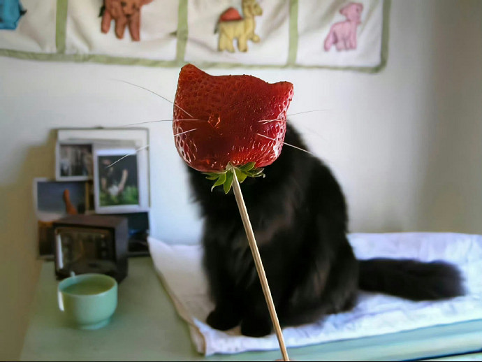 《英雄聯盟》霸氣的英文名一覽