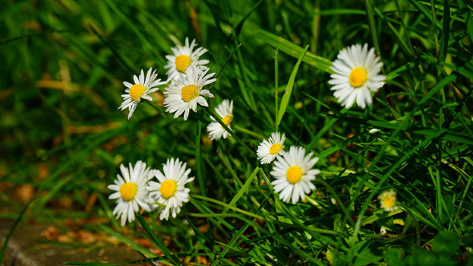 《英雄聯盟》我女朋友的媽媽雙字ID5分享