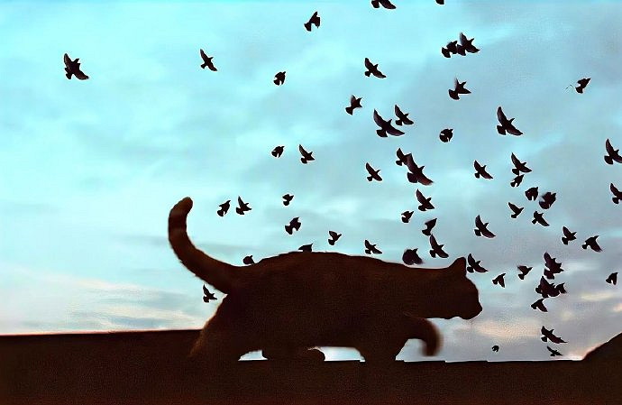 《英雄聯盟》空白暱稱程式碼複製介紹