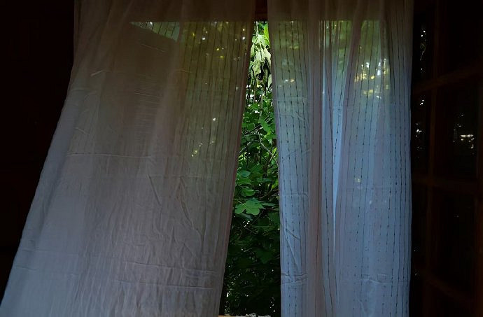 《英雄聯盟》空白暱稱程式碼複製介紹