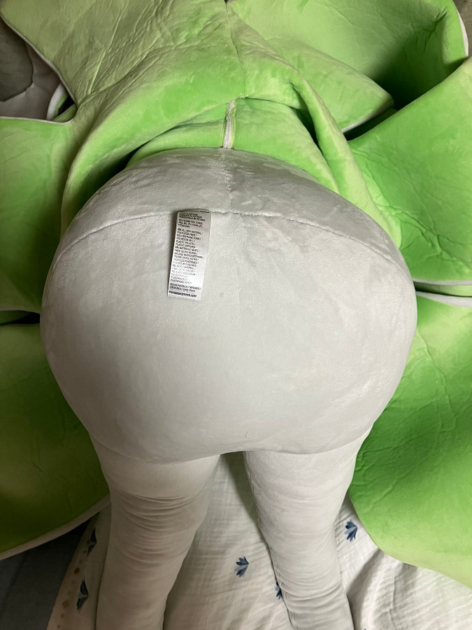 《寶可夢》等身大沙奈朵開賣就秒殺!訓練家幸福感爆棚