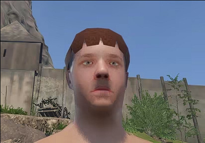 天國拯救2低畫質mod拯救玩家電腦 超7萬人受夠採藥動畫