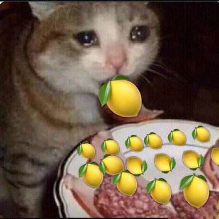 逼你恰檸檬!上海警方再秀“電鍍金色覺醒獨角獸”Mega Size限量款高達 逼你恰檸檬!上海警方再秀“電鍍金色覺醒獨角獸”Mega Size限量款高達