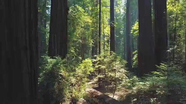 回合制策略遊戲《文明7》曝發售預告 已正式上線！