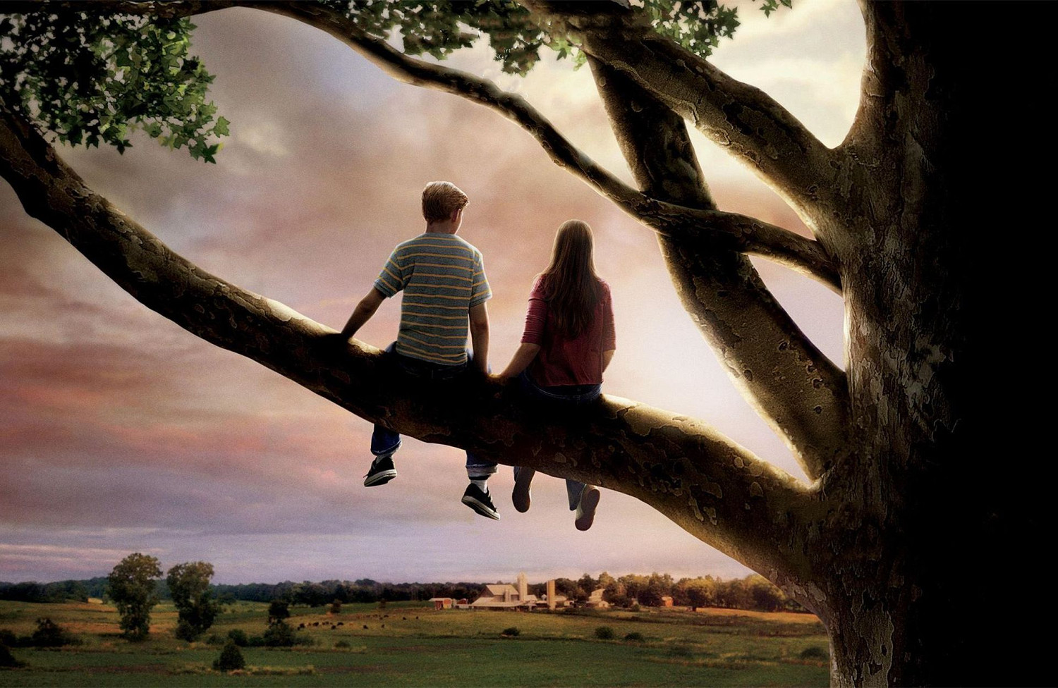 情人節到了!推薦五部情侶必看片單:每一部都是經典 情人節到了!推薦五部情侶必看片單:每一部都是經典