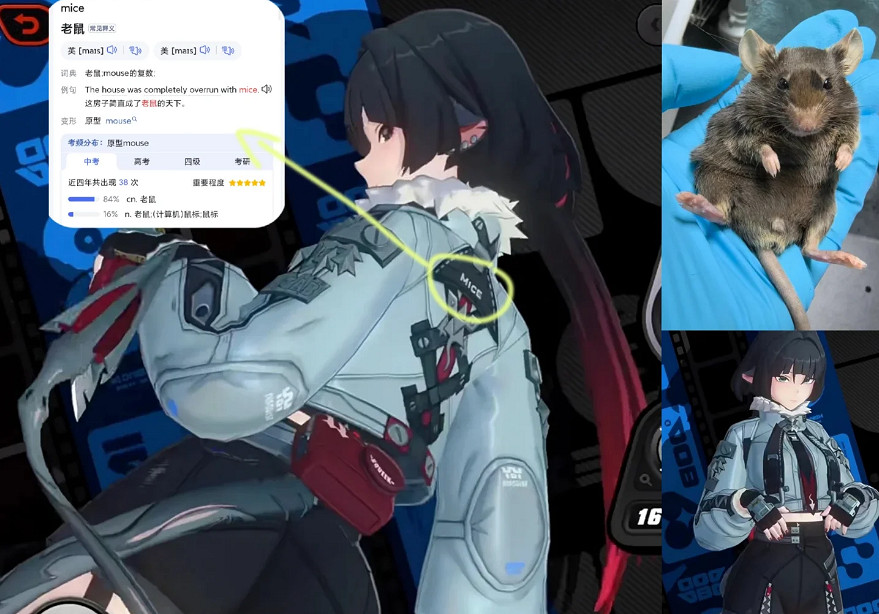 《絕區零》簡杜動物形象介紹 《絕區零》簡杜動物形象介紹