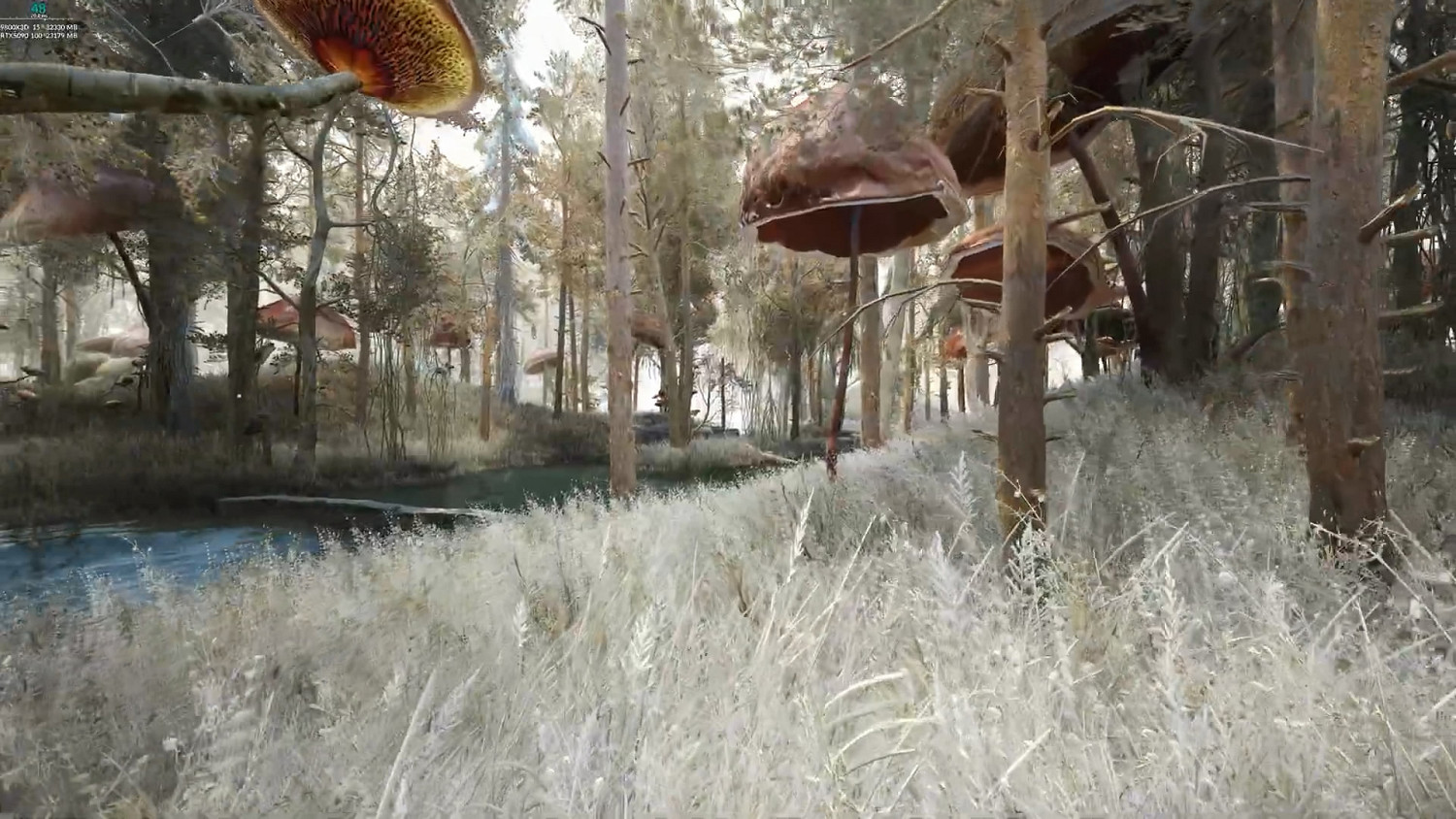 RTX5090《上古卷軸V:無界天際》3500+MOD極限畫質展示 RTX5090《上古卷軸V:無界天際》3500+MOD極限畫質展示