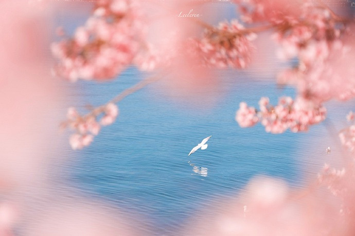 《英雄聯盟》朋友的媽媽雙字ID一覽 《英雄聯盟》朋友的媽媽雙字ID一覽