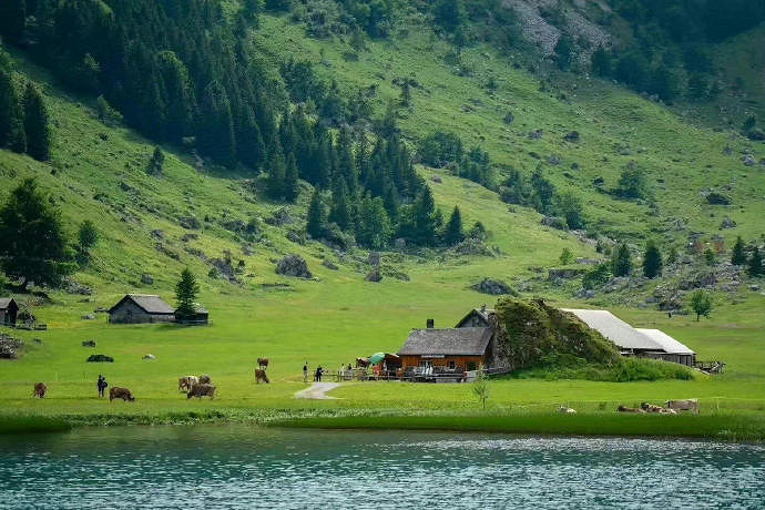 《英雄聯盟》成熟男人網名穩重大全