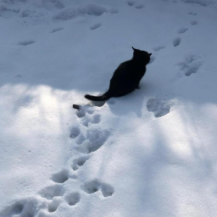 《英雄聯盟》100個霸氣綽號大全 《英雄聯盟》100個霸氣綽號大全