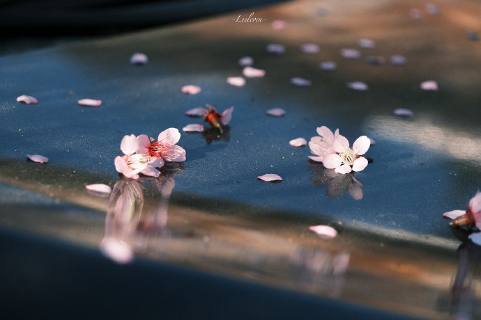 《英雄聯盟》朋友的媽媽雙字ID一覽 《英雄聯盟》朋友的媽媽雙字ID一覽