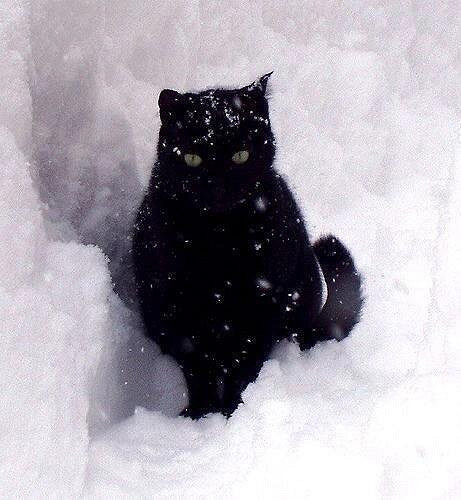 《英雄聯盟》100個霸氣綽號大全 《英雄聯盟》100個霸氣綽號大全