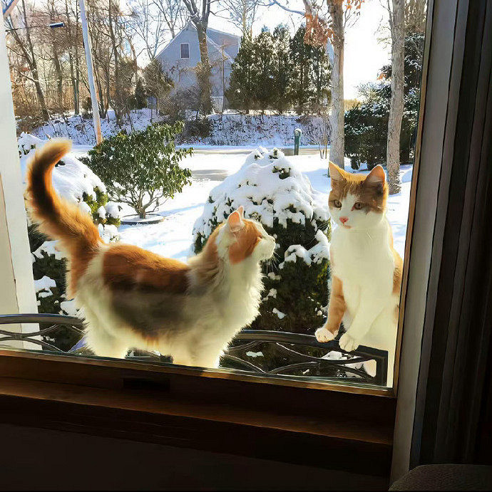 《英雄聯盟》男網名2025最火匯總 《英雄聯盟》男網名2025最火匯總