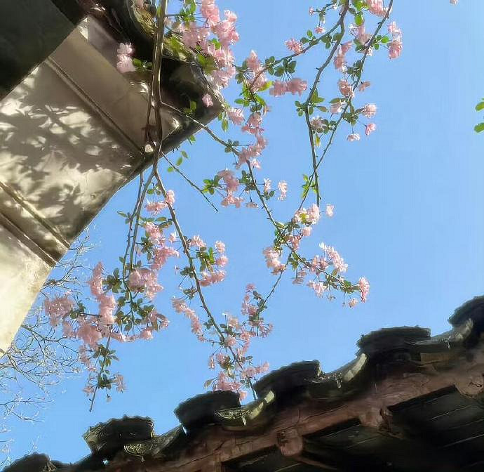 《英雄聯盟》吸引人網名介紹 《英雄聯盟》吸引人網名介紹