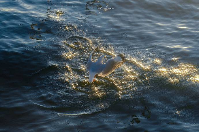 《英雄聯盟》朋友的媽媽雙字ID一覽 《英雄聯盟》朋友的媽媽雙字ID一覽