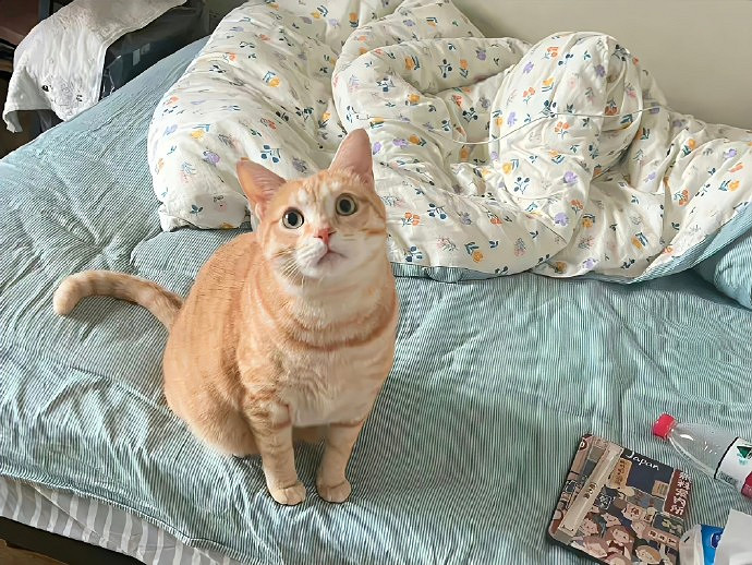 《英雄聯盟》2025年最火的網名大全 《英雄聯盟》2025年最火的網名大全