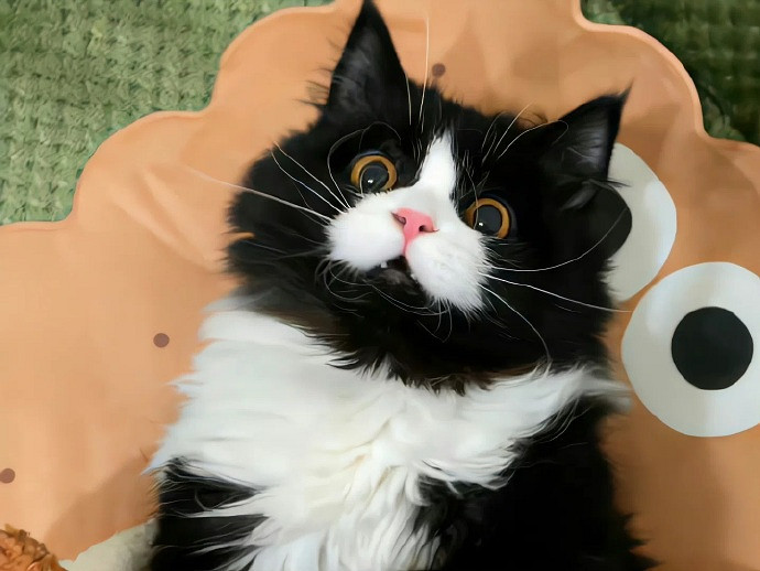 《英雄聯盟》男網名高冷霸氣孤獨推薦