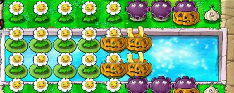 植物大戰殭屍誰笑到最後 植物大戰殭屍誰笑到最後