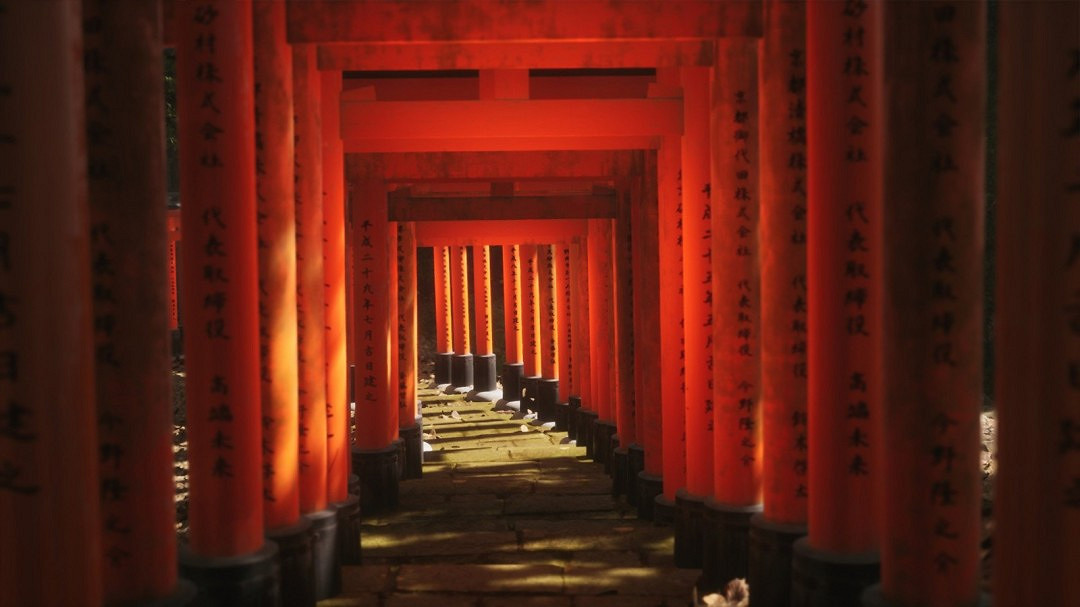 虛幻5《模擬美景攝影》新預告 景色太迷人了! 虛幻5《模擬美景攝影》新預告 景色太迷人了!