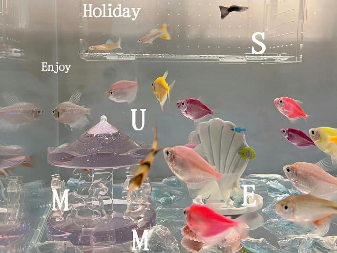 《英雄聯盟》女生暱稱ins高級質感分享