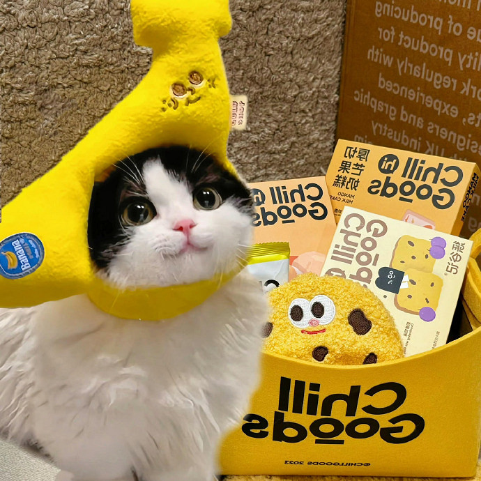 《英雄聯盟》一聽就很顛的網名大全