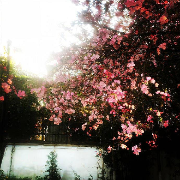 《英雄聯盟》清冷到極致的id分享