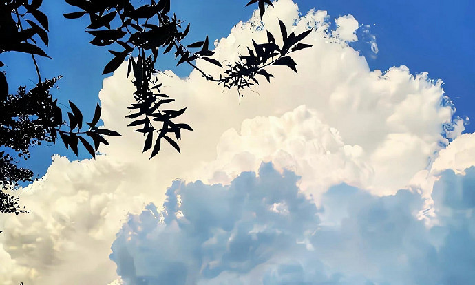 《英雄聯盟》2025流行網名大全