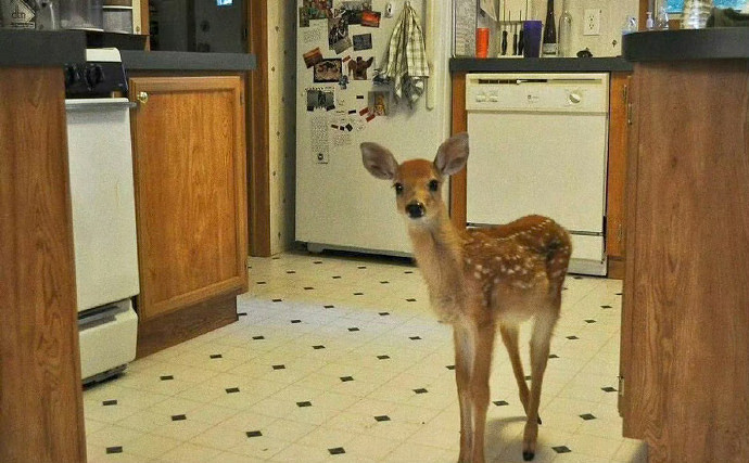 《英雄聯盟》有文學氣息的名字推薦