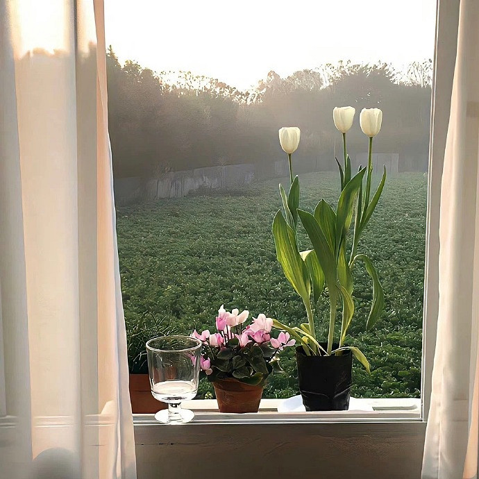 《英雄聯盟》好聽而意境深遠的網名一覽