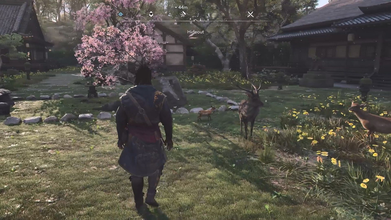 《AC影》藏身處玩法揭秘！可打造個性化據點收養寵物