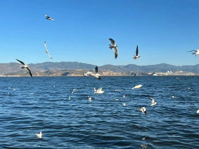 《英雄聯盟》古風id詩意好聽匯總