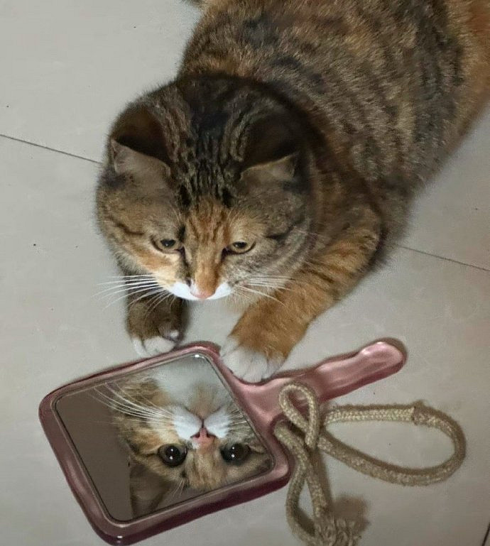 《英雄聯盟》霸氣有吸引力的網名一覽 《英雄聯盟》霸氣有吸引力的網名一覽