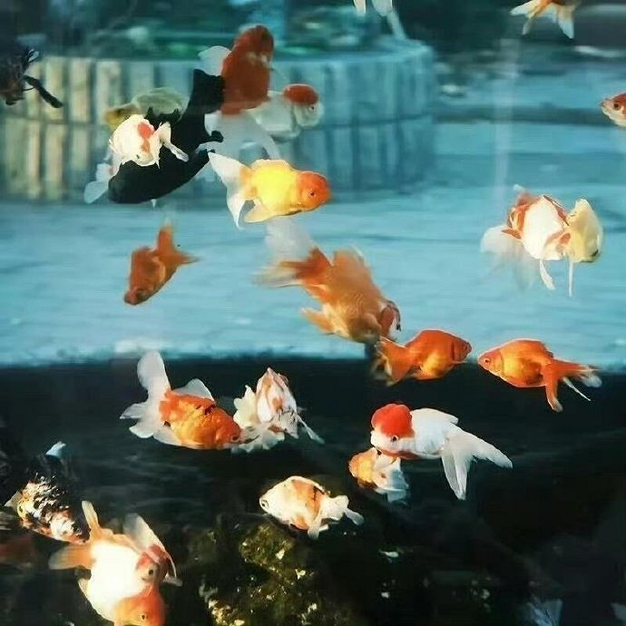 《英雄聯盟》又狠又霸氣的暱稱推薦