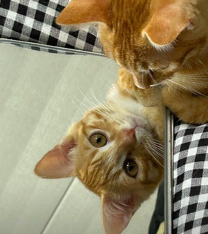 《英雄聯盟》霸氣有吸引力的網名一覽 《英雄聯盟》霸氣有吸引力的網名一覽