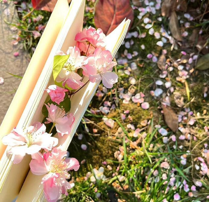 《英雄聯盟》一秒封神的網名推薦