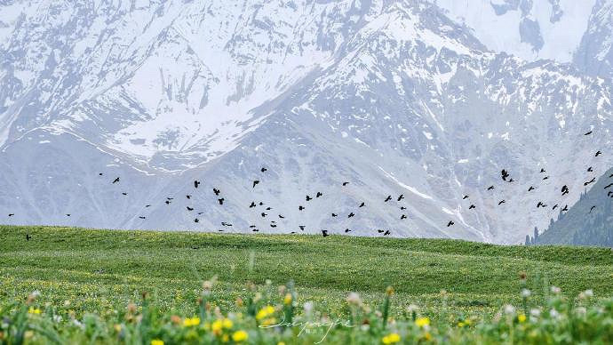 《英雄聯盟》改個心情好的網名大全 《英雄聯盟》改個心情好的網名大全